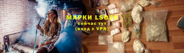 индика Заволжье