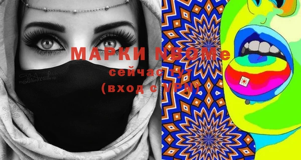 индика Заволжье