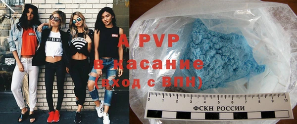 индика Заволжье