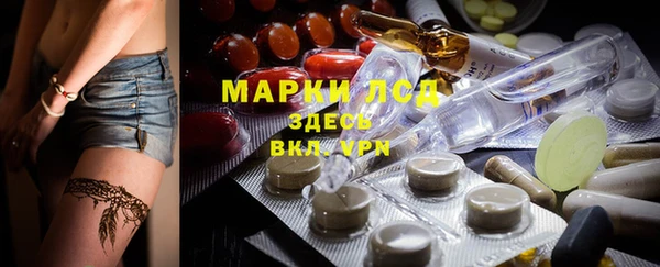 индика Заволжье