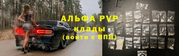 индика Заволжье