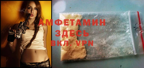 индика Заволжье