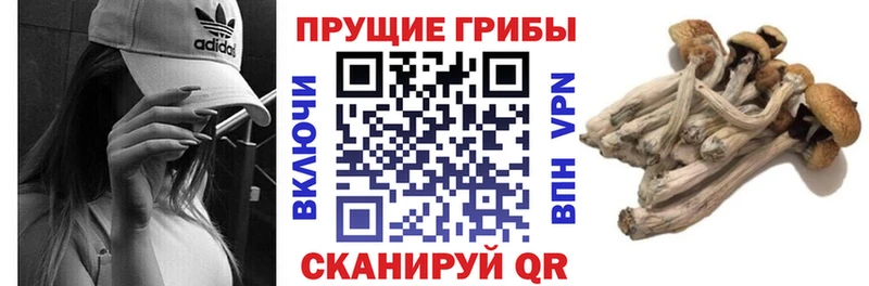 Галлюциногенные грибы ЛСД  Купить  Зеленоградск 